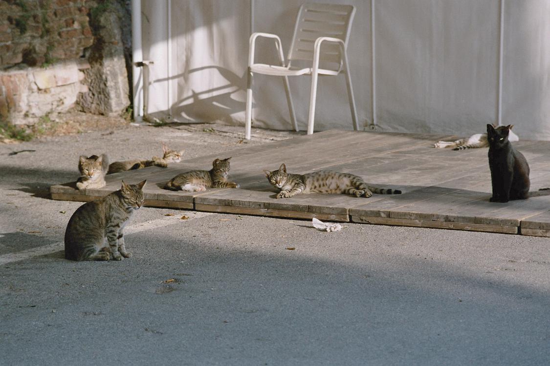 Film1 09