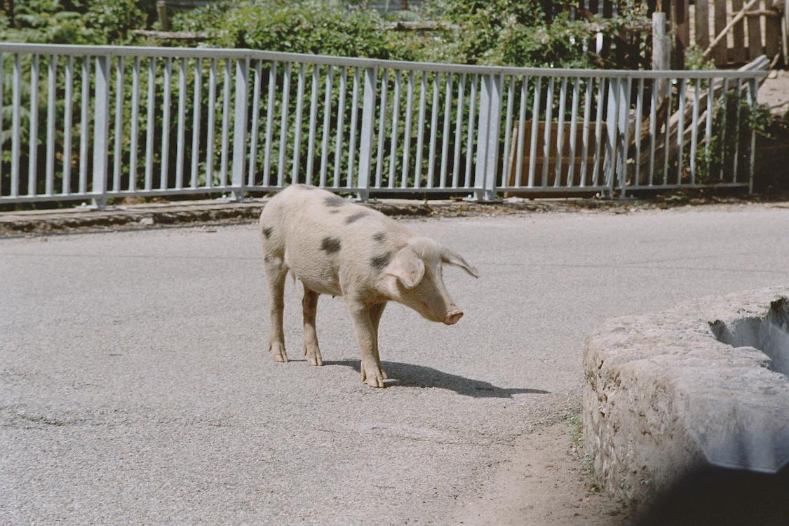Film3 06