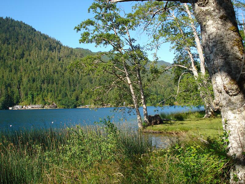 dsc00480