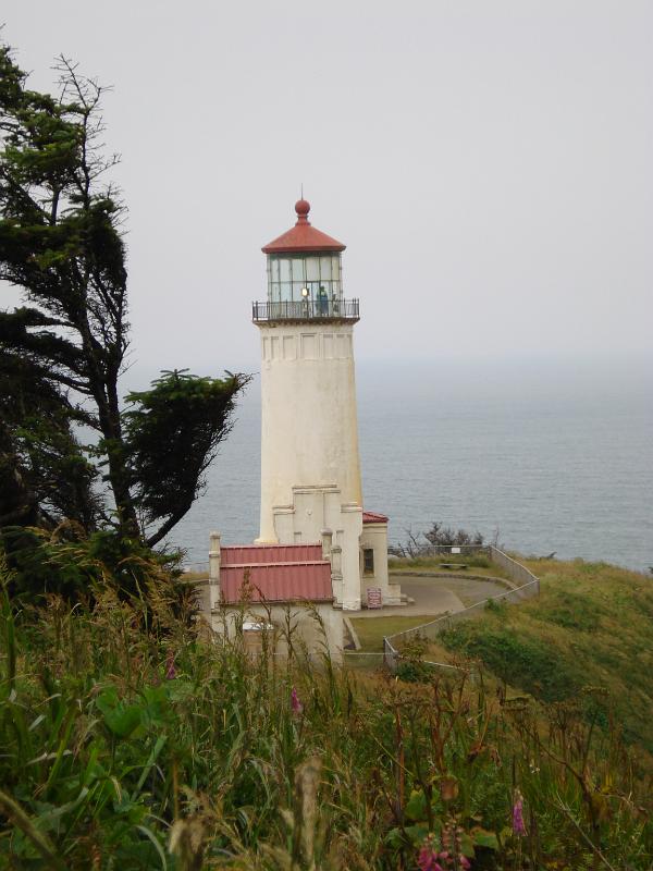 dsc00500