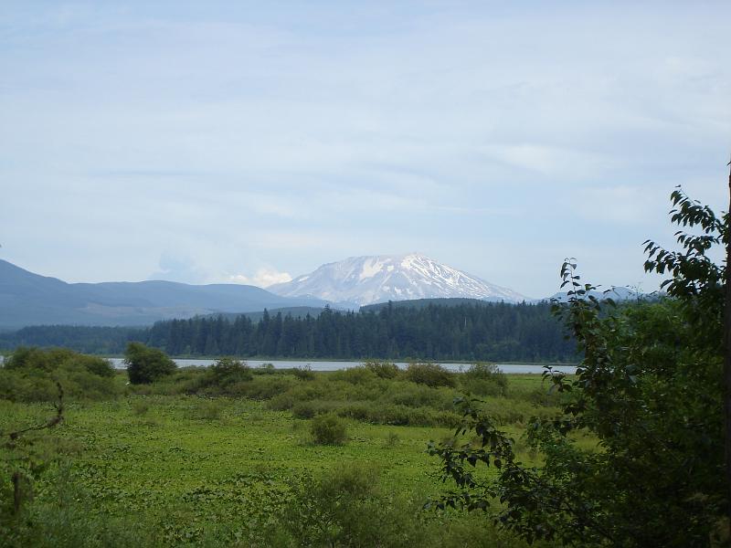 dsc00508