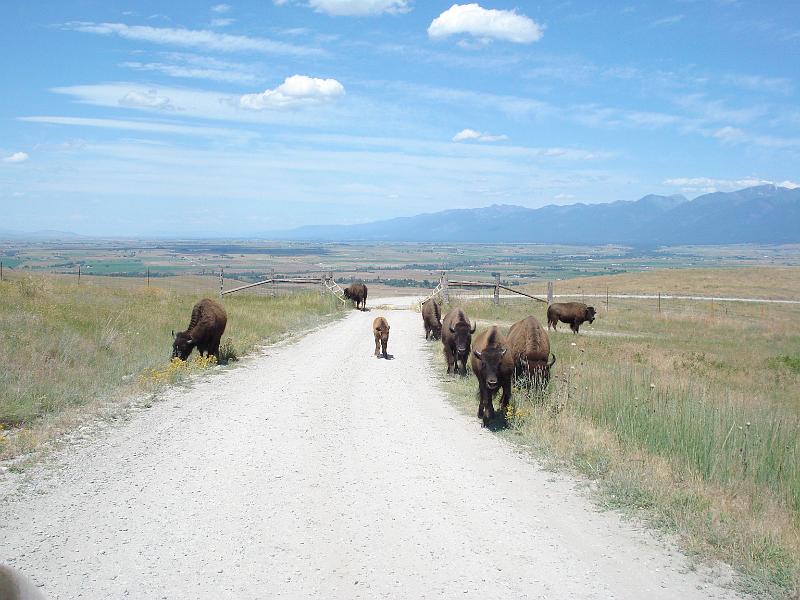 dsc00561
