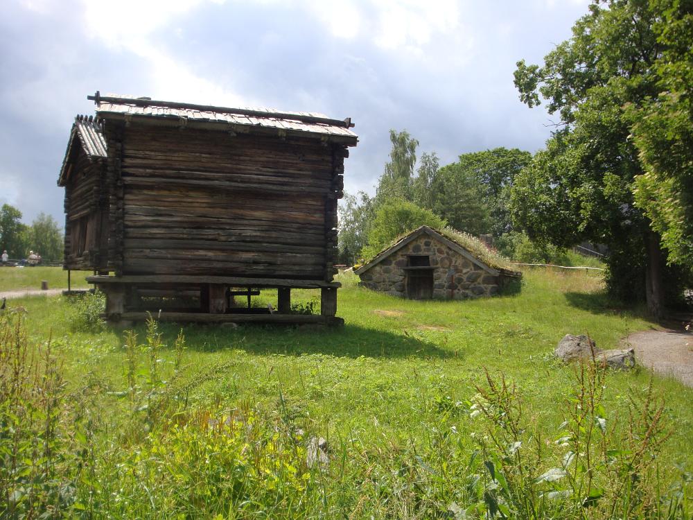 DSC03005
