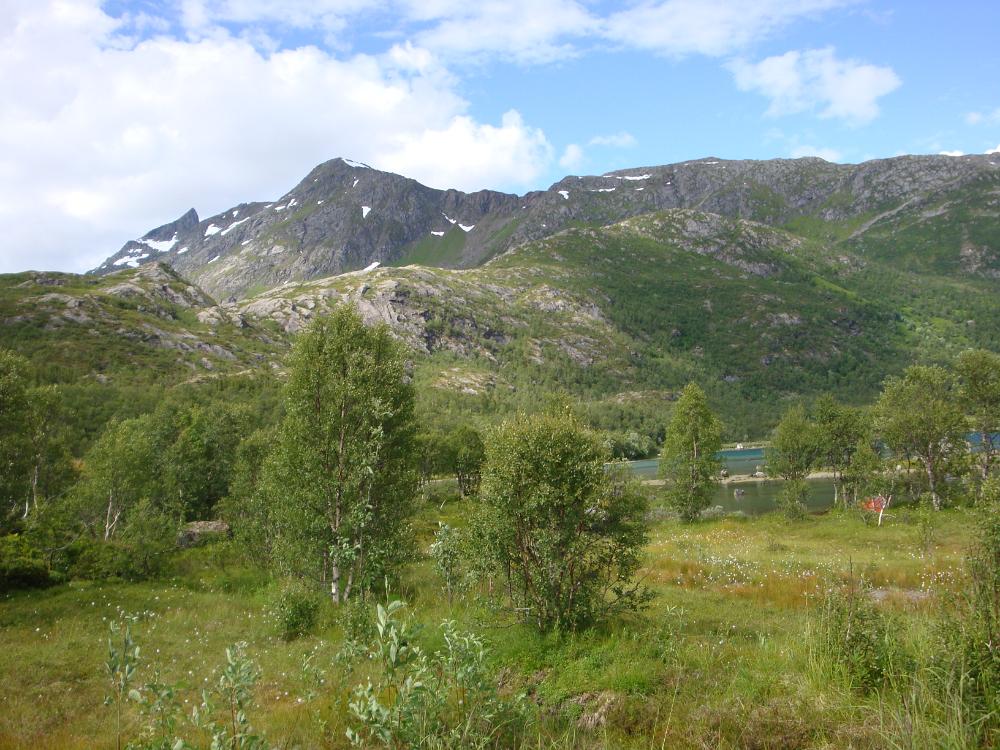 DSC03219