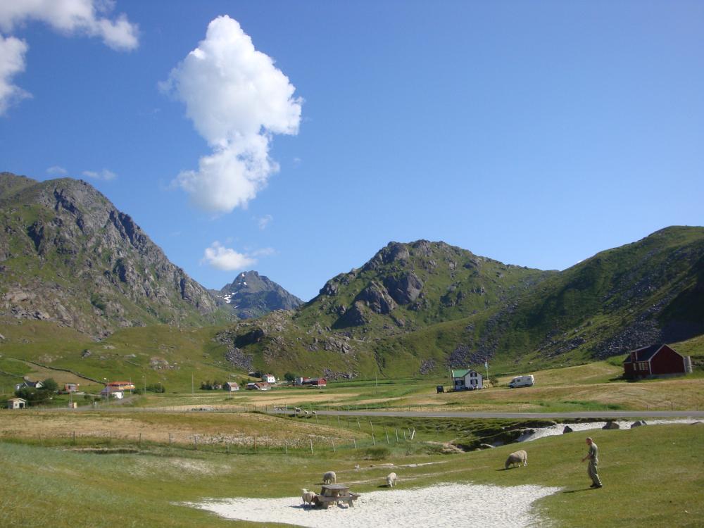 DSC03447