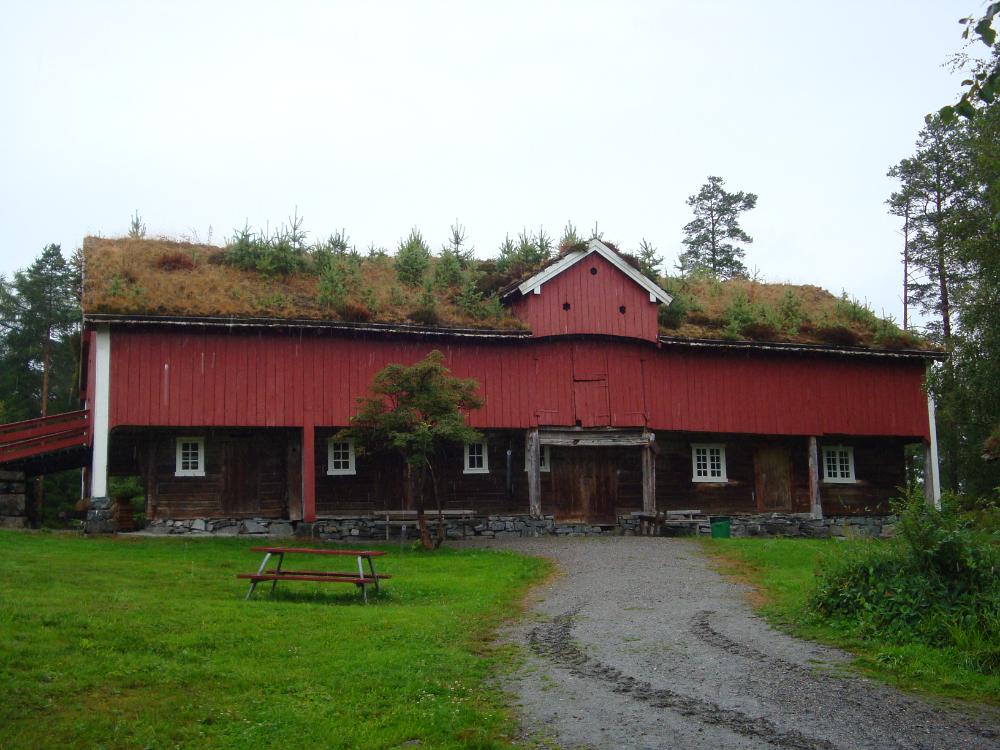 DSC03849