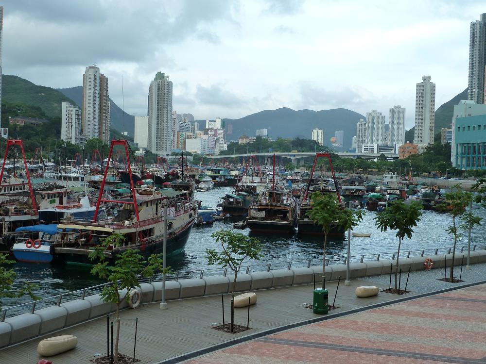 P1000391