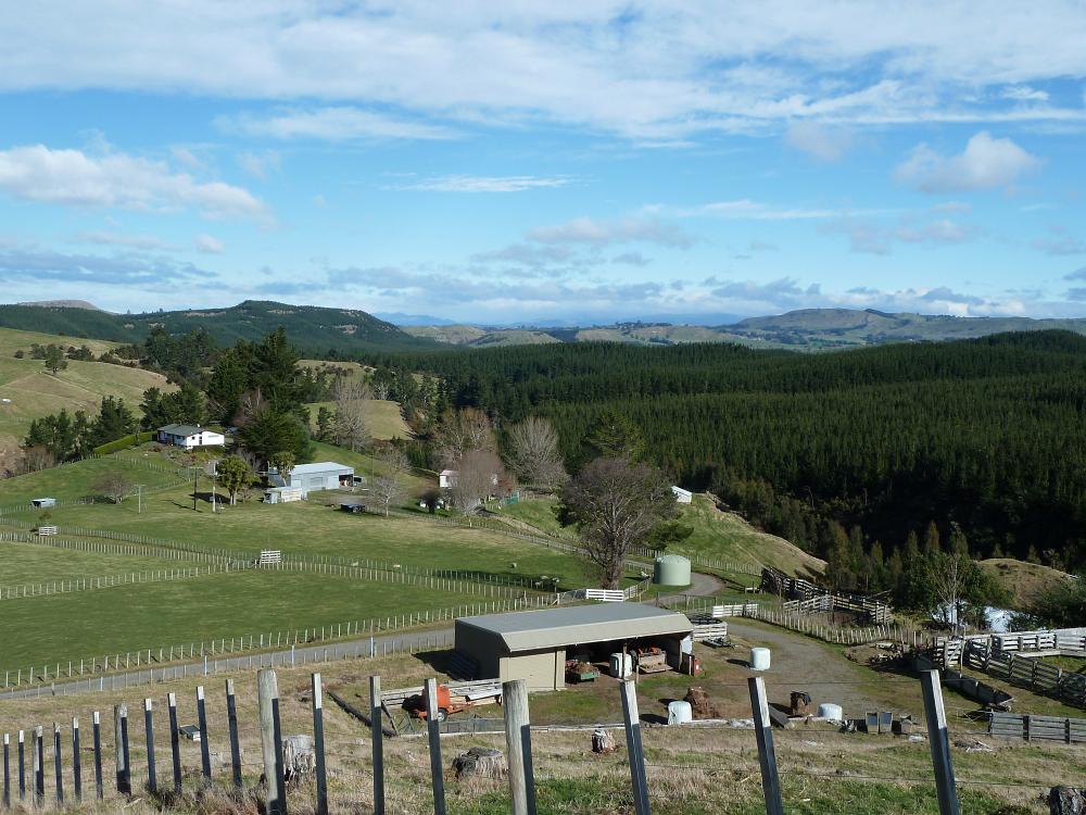 P1000739