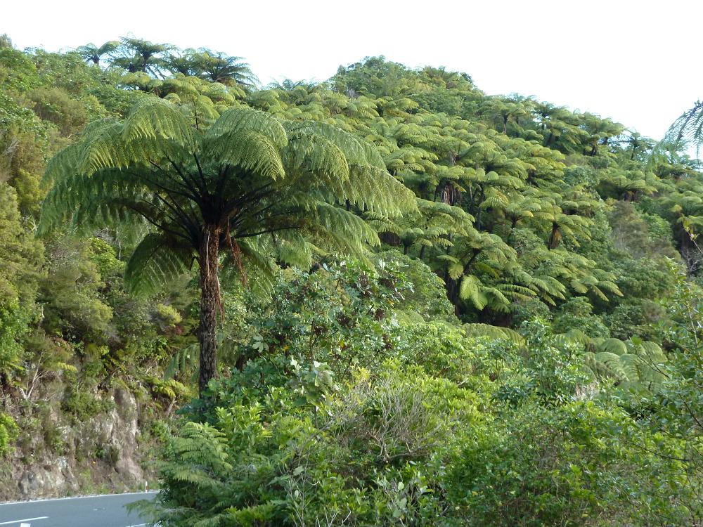 P1000870
