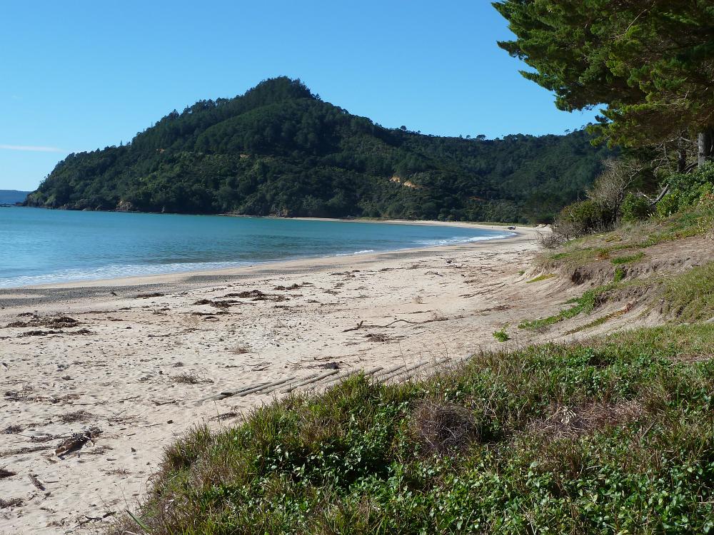 P1000939