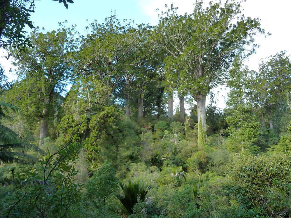 P1000955