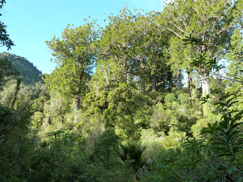 P1000976