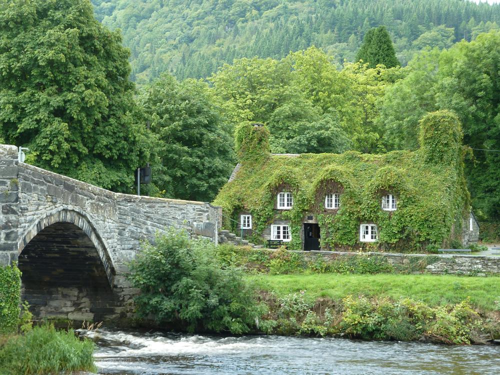 P1010958