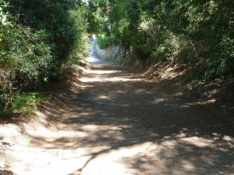 P1040044