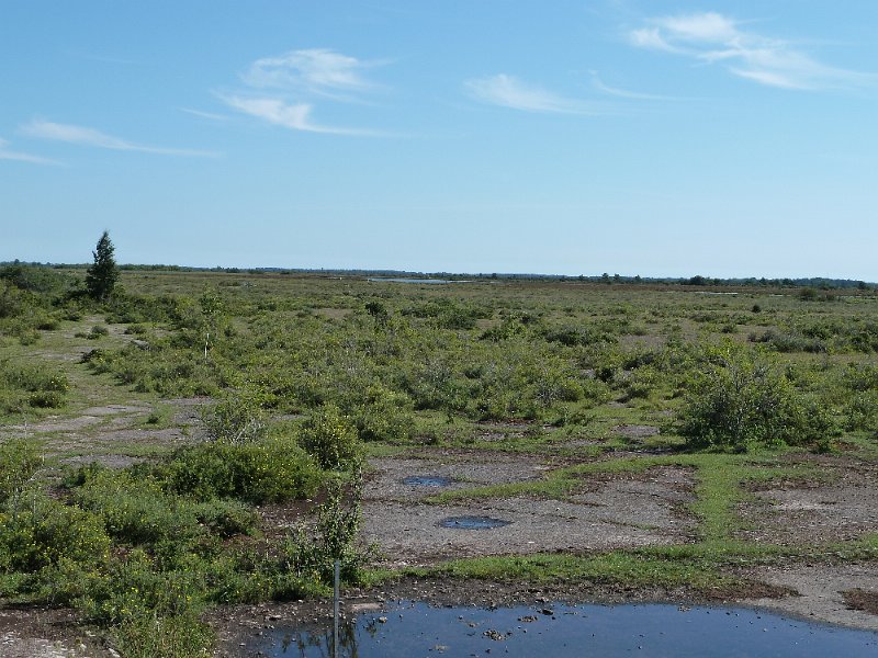P1050016