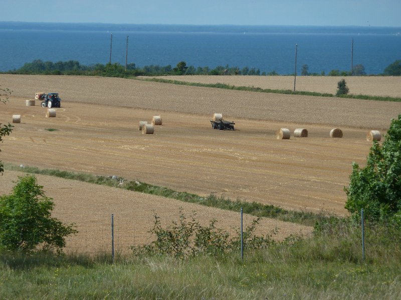 P1050051