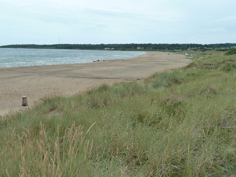P1050230