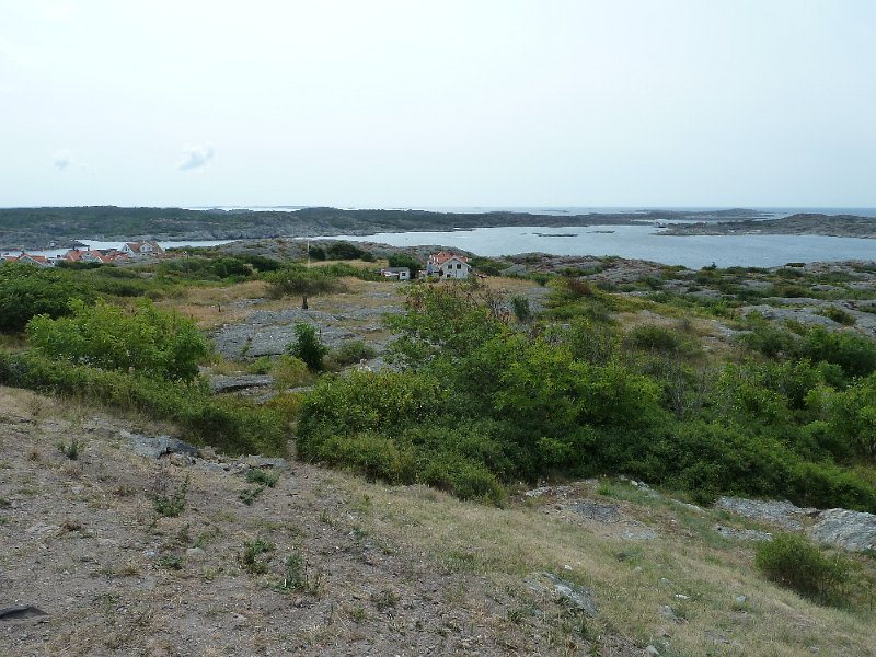 P1050305