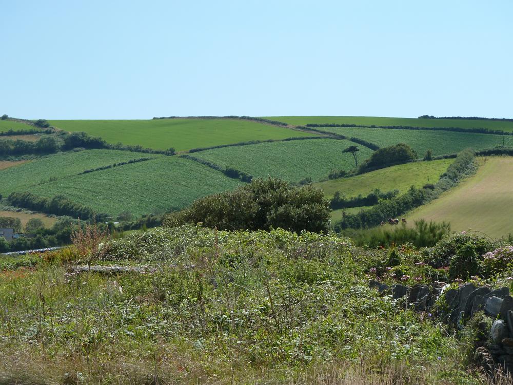 P1060083