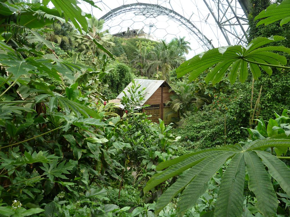 P1060165