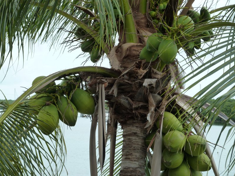 P1070456