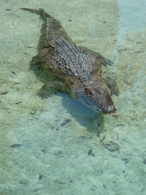P1070507