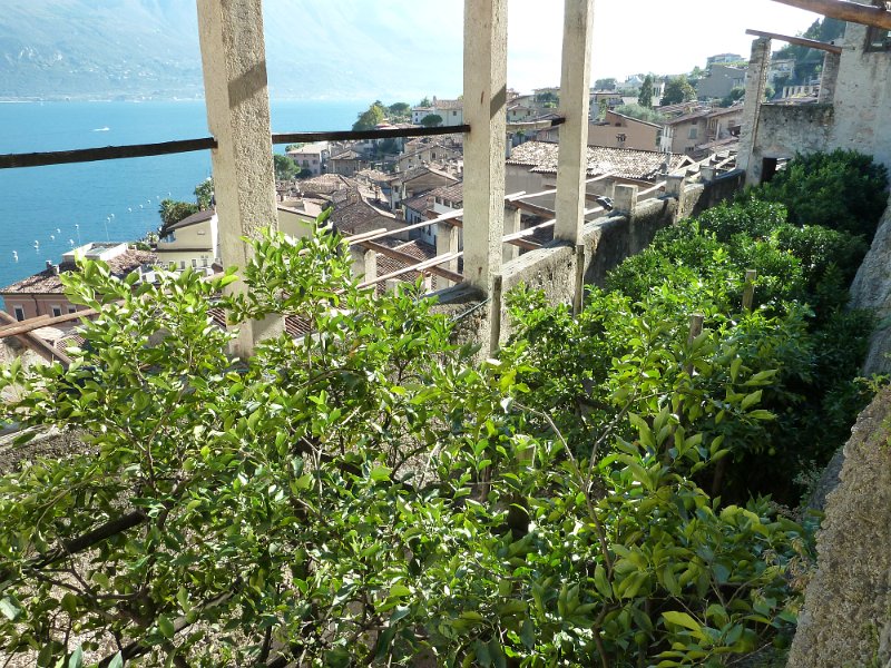 P1070781