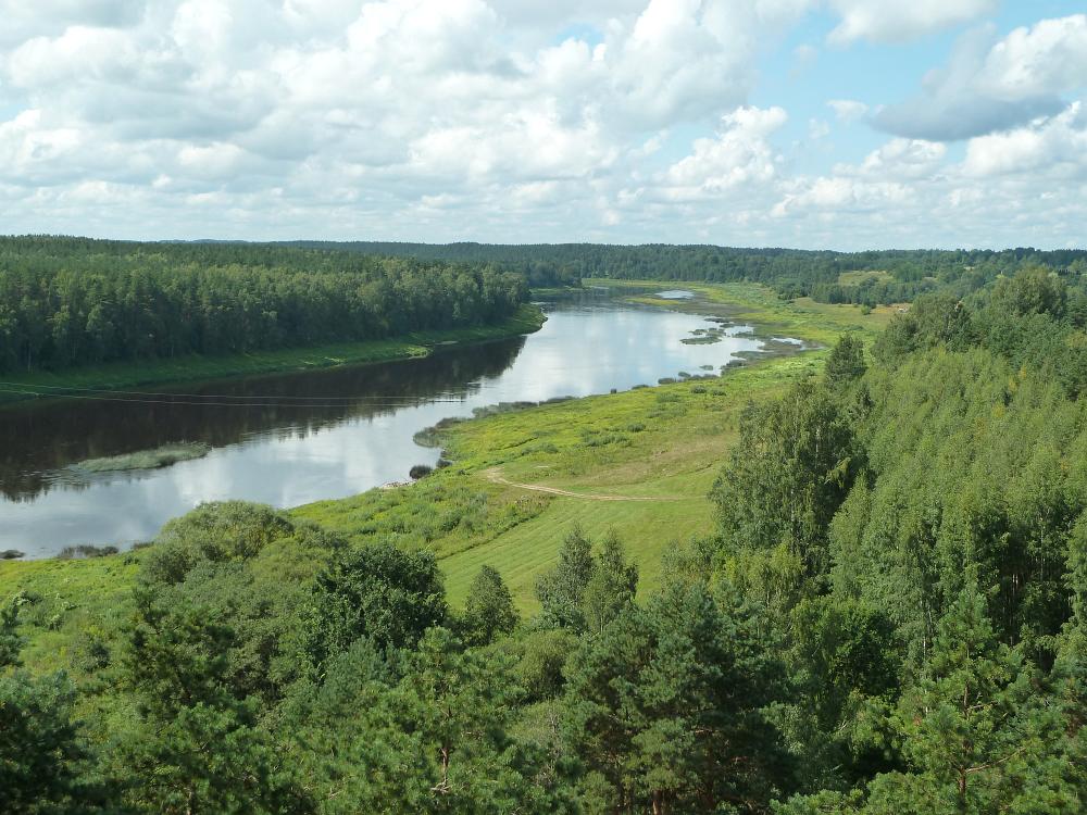 P1080567