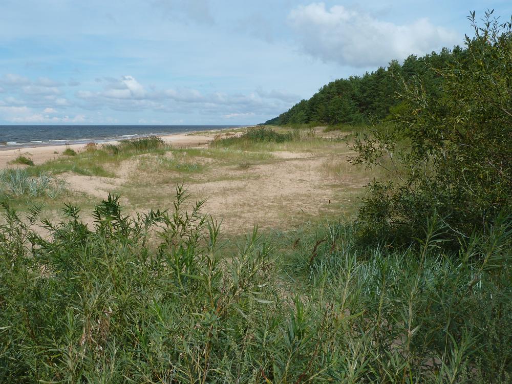 P1080952