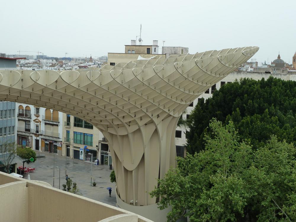 P1090519