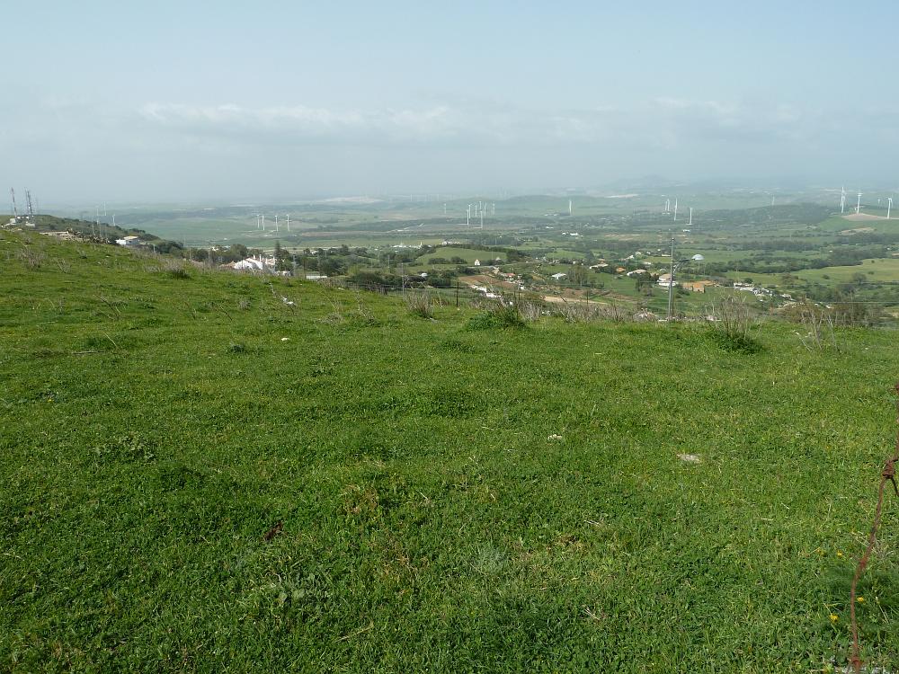 P1090595