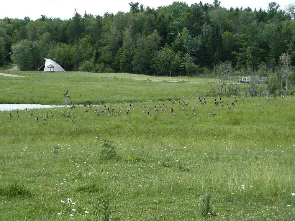 P1090864