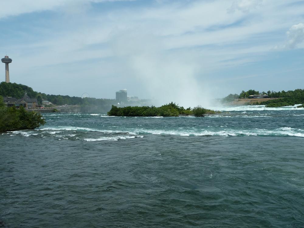 P1100039