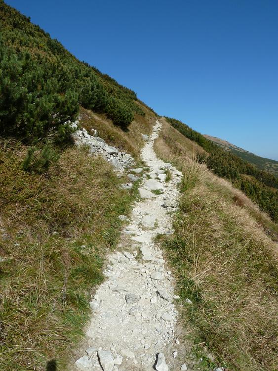P1100201