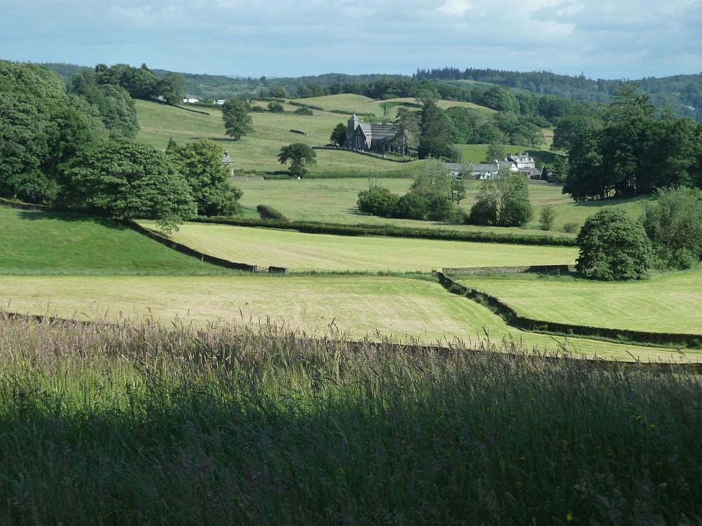 P1100584