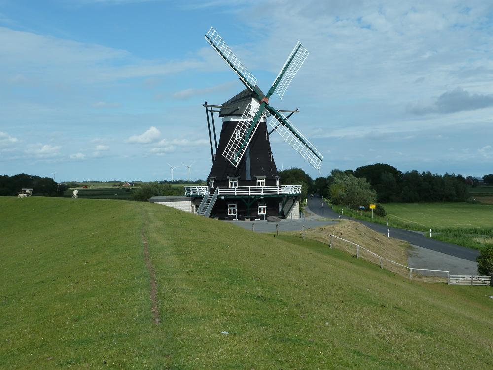 P1110336