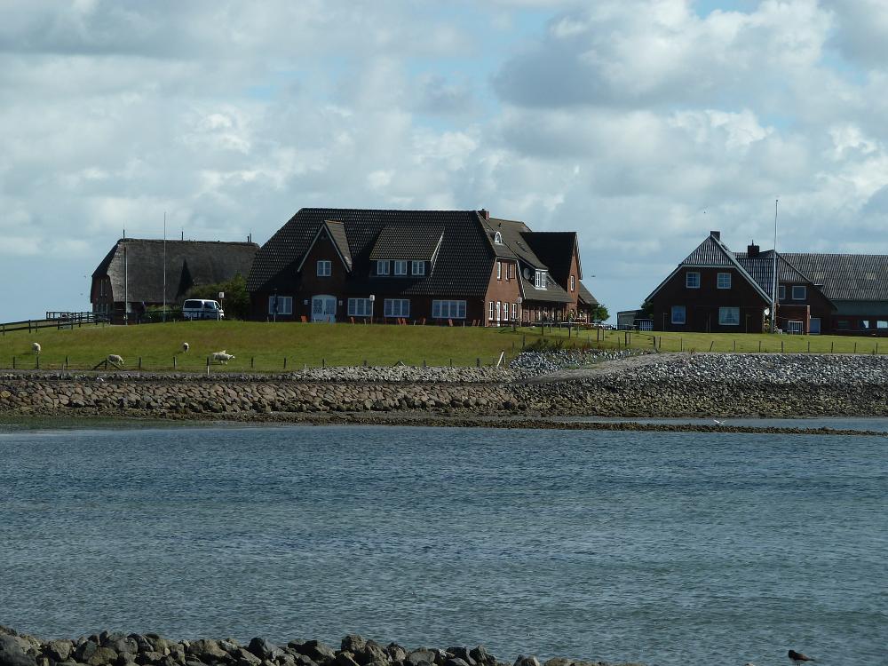 P1110385