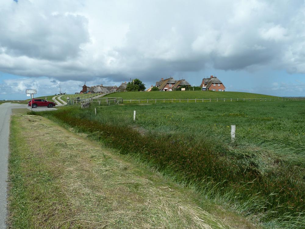 P1110397