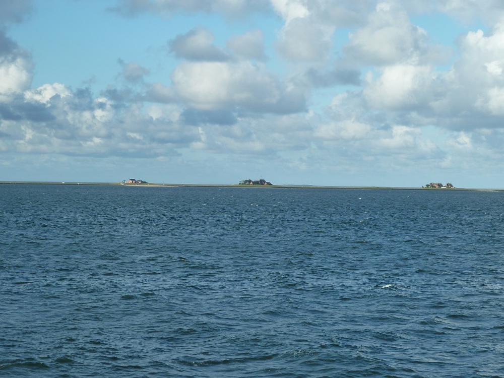 P1110420