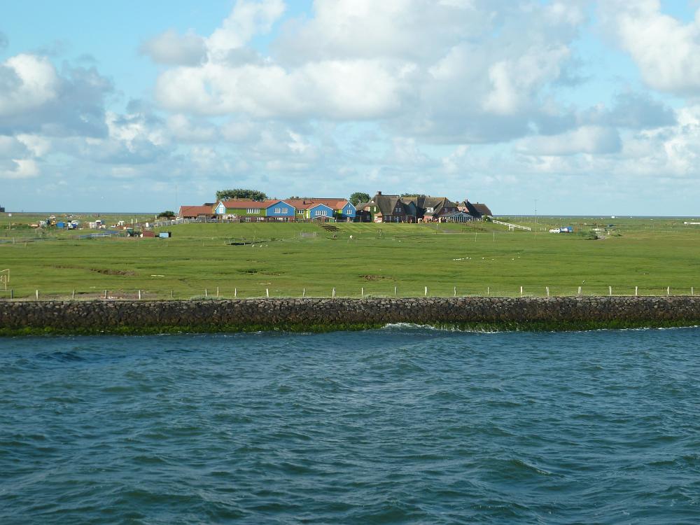 P1110421