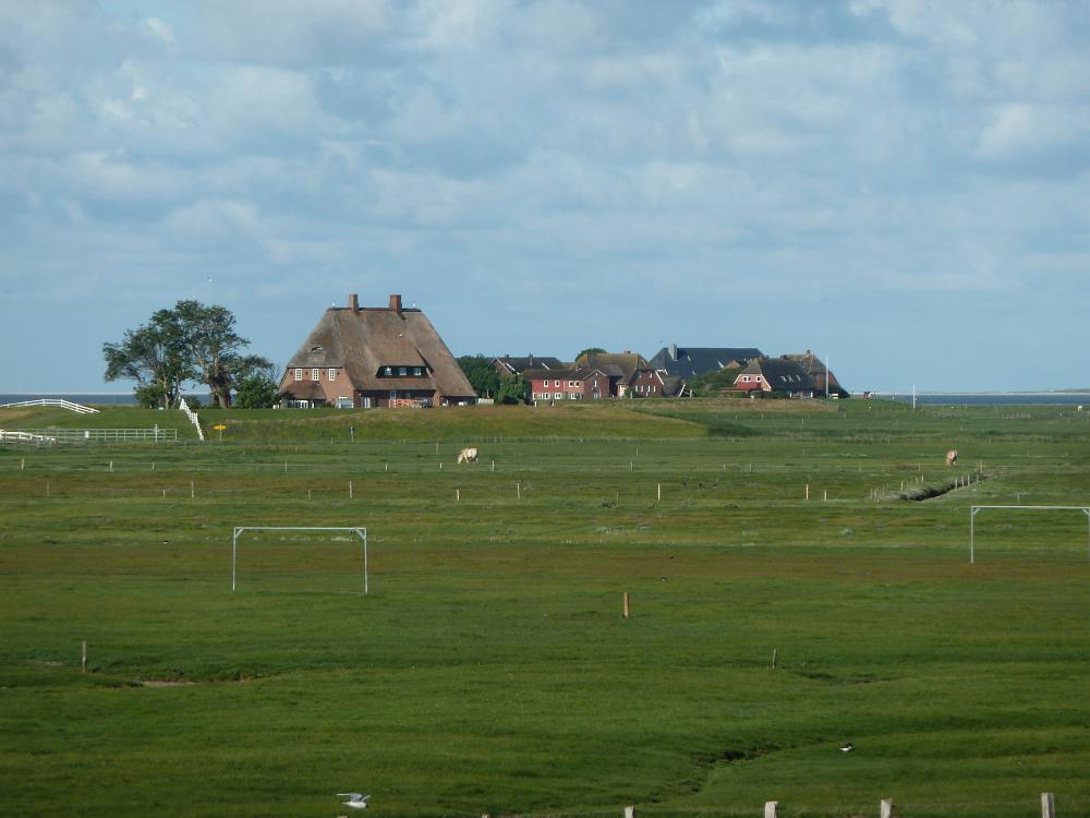 P1110422